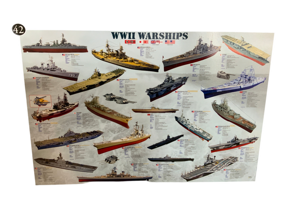 Rolled Educational Posters