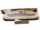 WW II Teak Sculpture ( 2.4ft ) Carved Battleship Silhouette-4