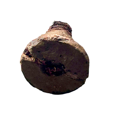 Original Steel Bolt from the Deck of the Historic Battleship New Jersey