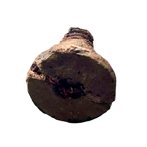 Original Steel Bolt from the Deck of the Historic Battleship New Jersey