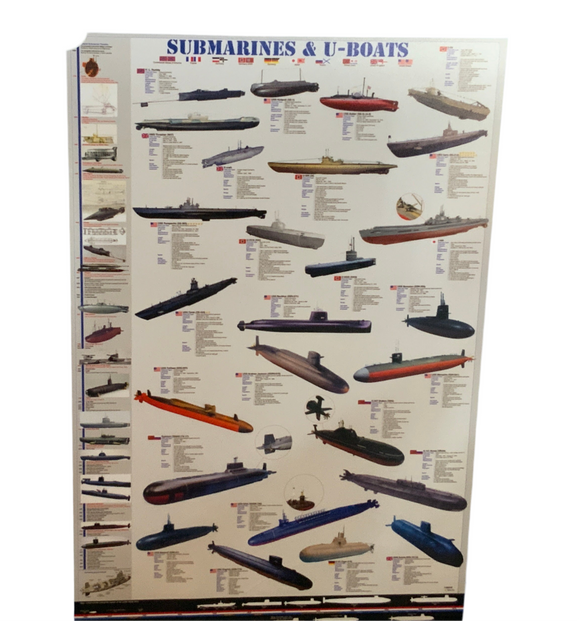 Rolled Educational Posters